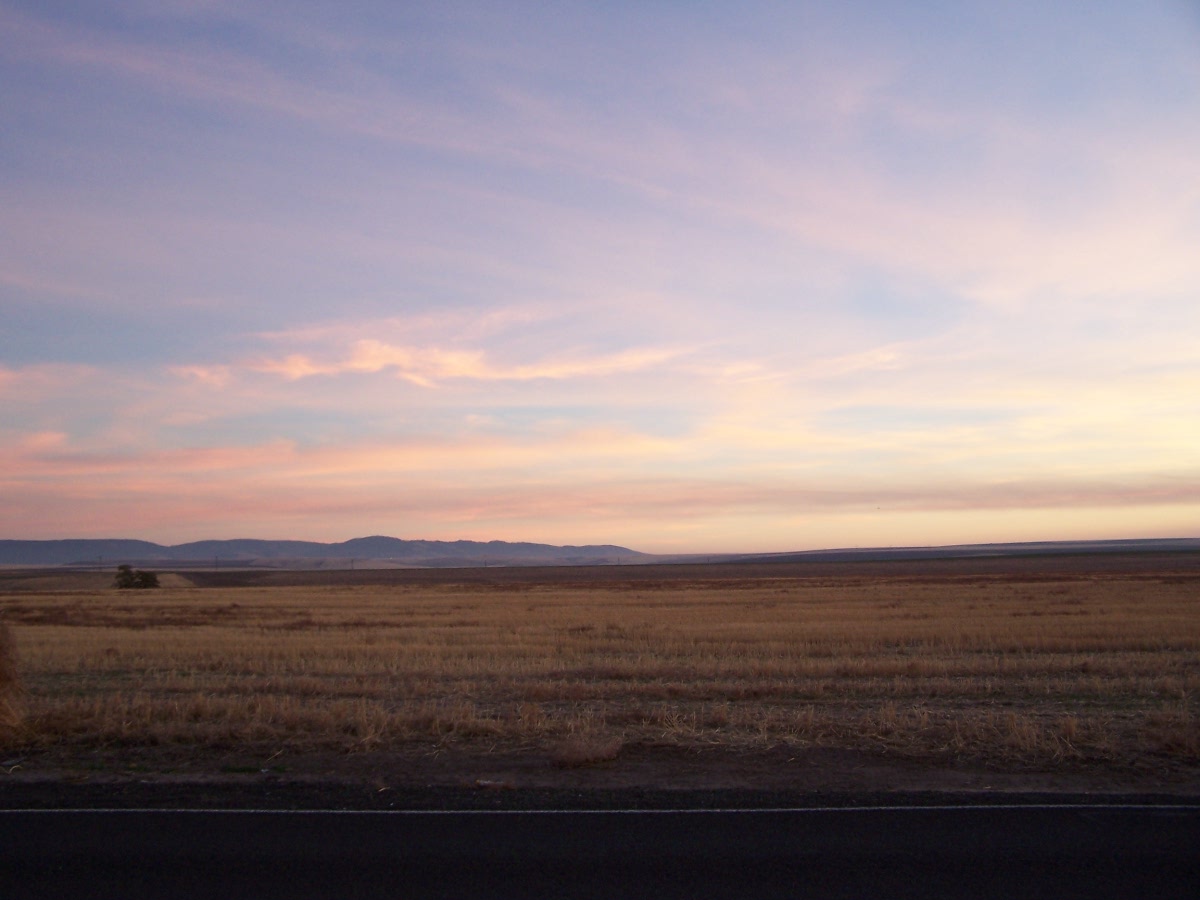 Country Western image 1