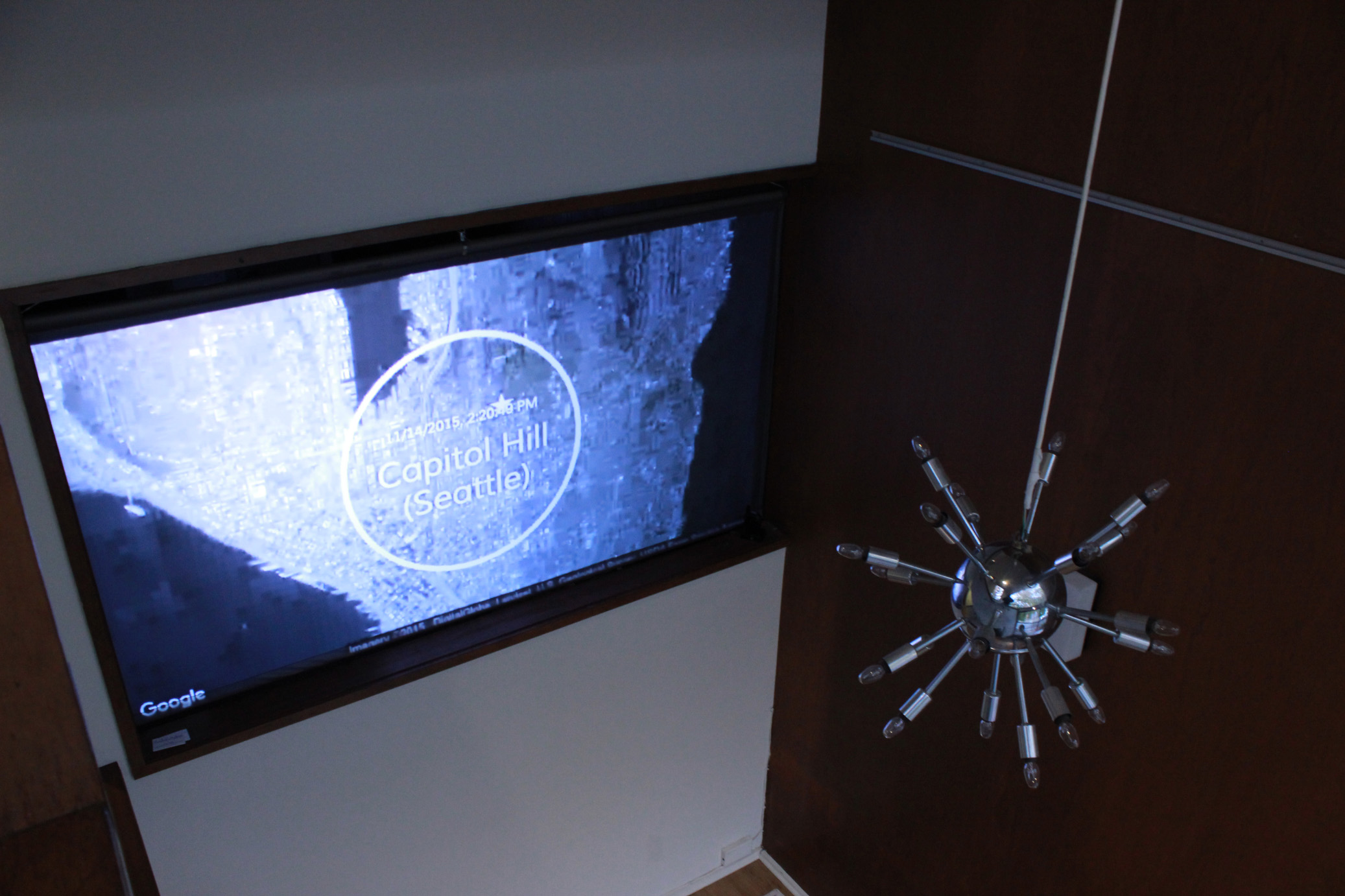 Hyperlocal Zeitgeist: Dendroica image 1