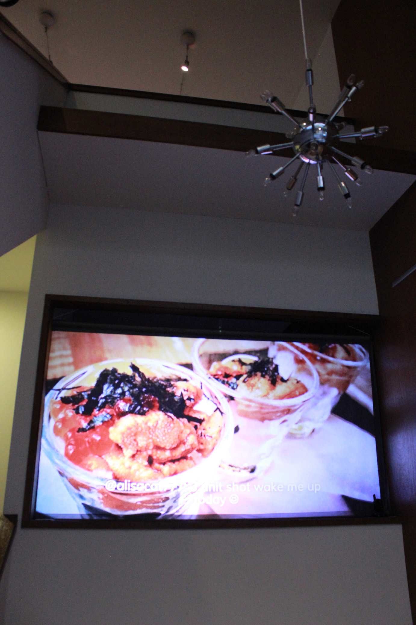 Hyperlocal Zeitgeist: Dendroica image 2