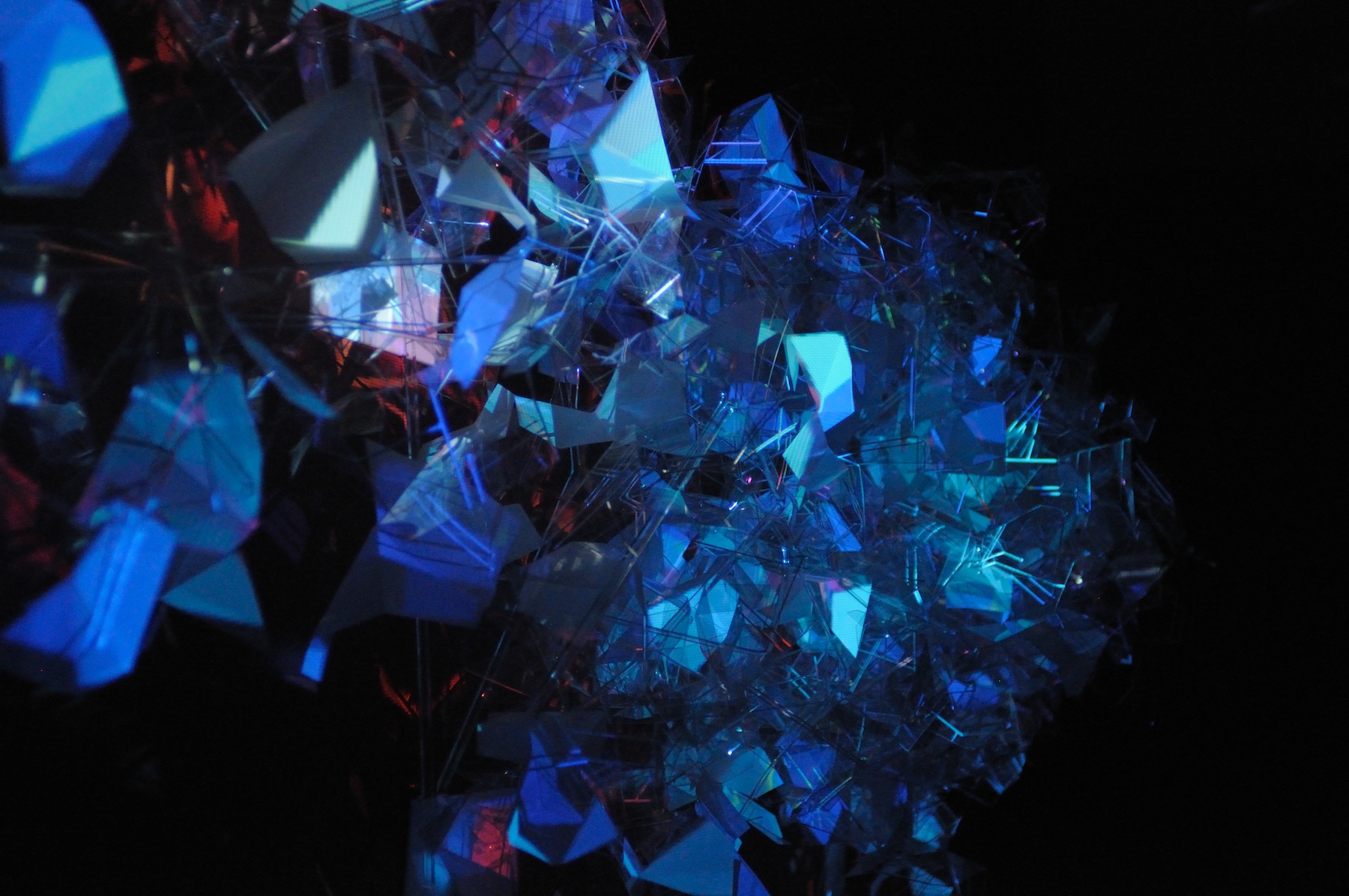 Schroedinbug Descending a Staircase image 1