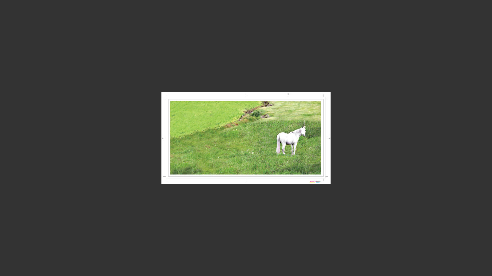 Bill Patton: Get's it On image 5