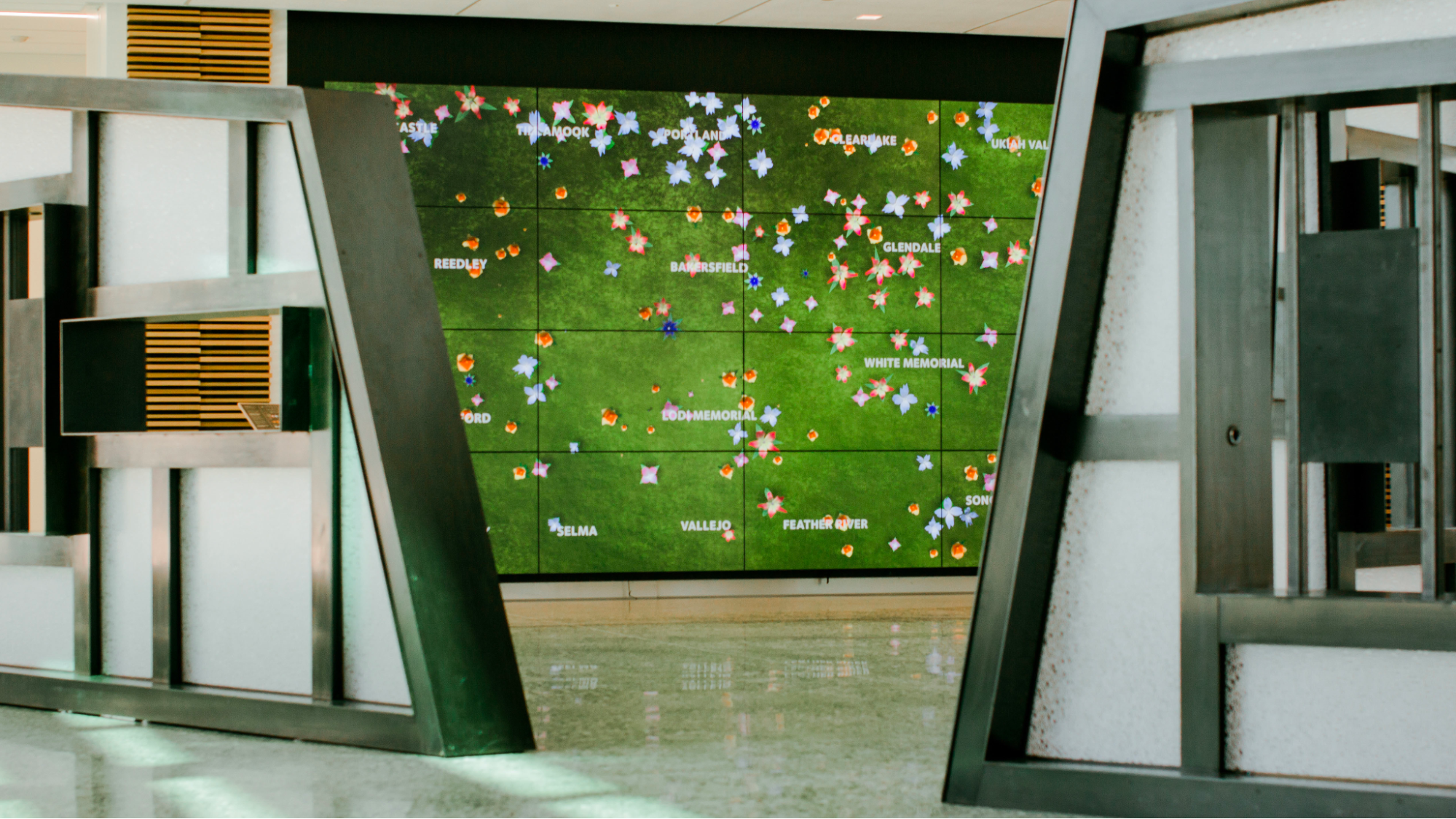 Garden of Health image 3