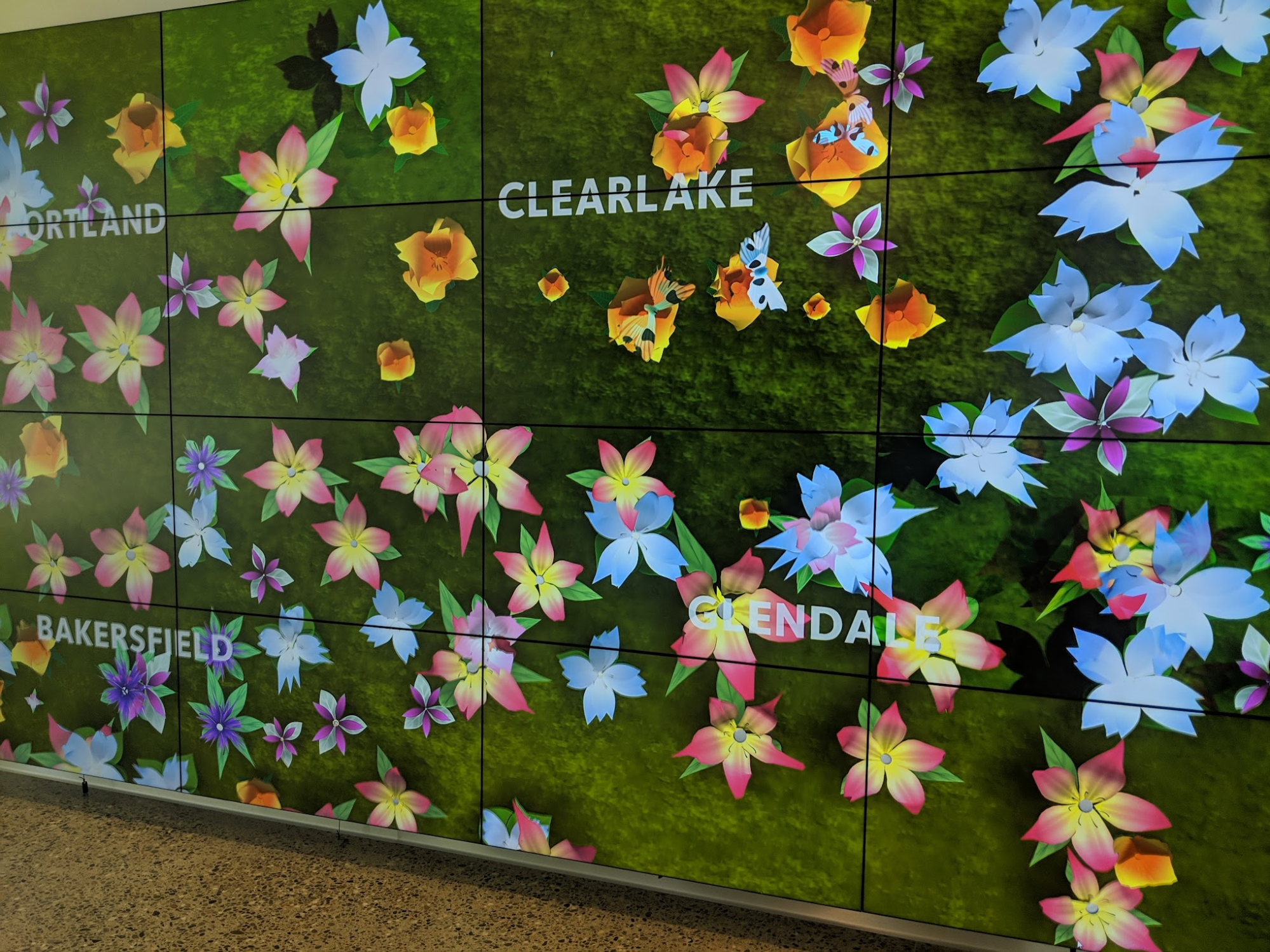 Garden of Health image 4