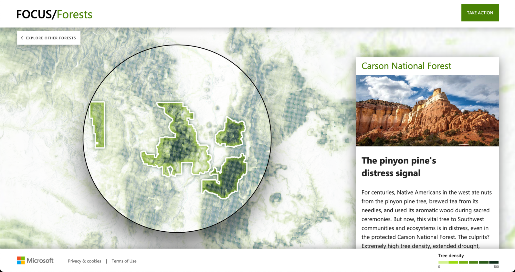 Microsoft: Focus/Forests image 1