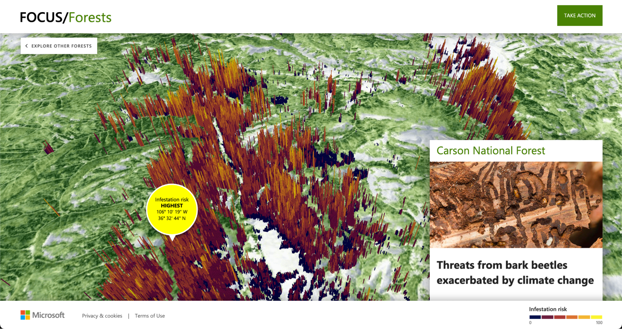 Microsoft: Focus/Forests image 2