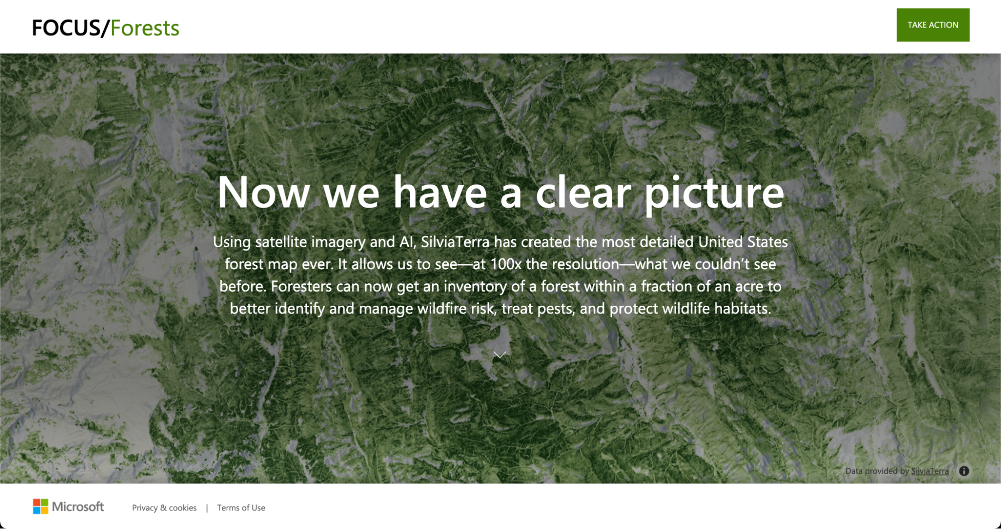 Microsoft: Focus/Forests image 4