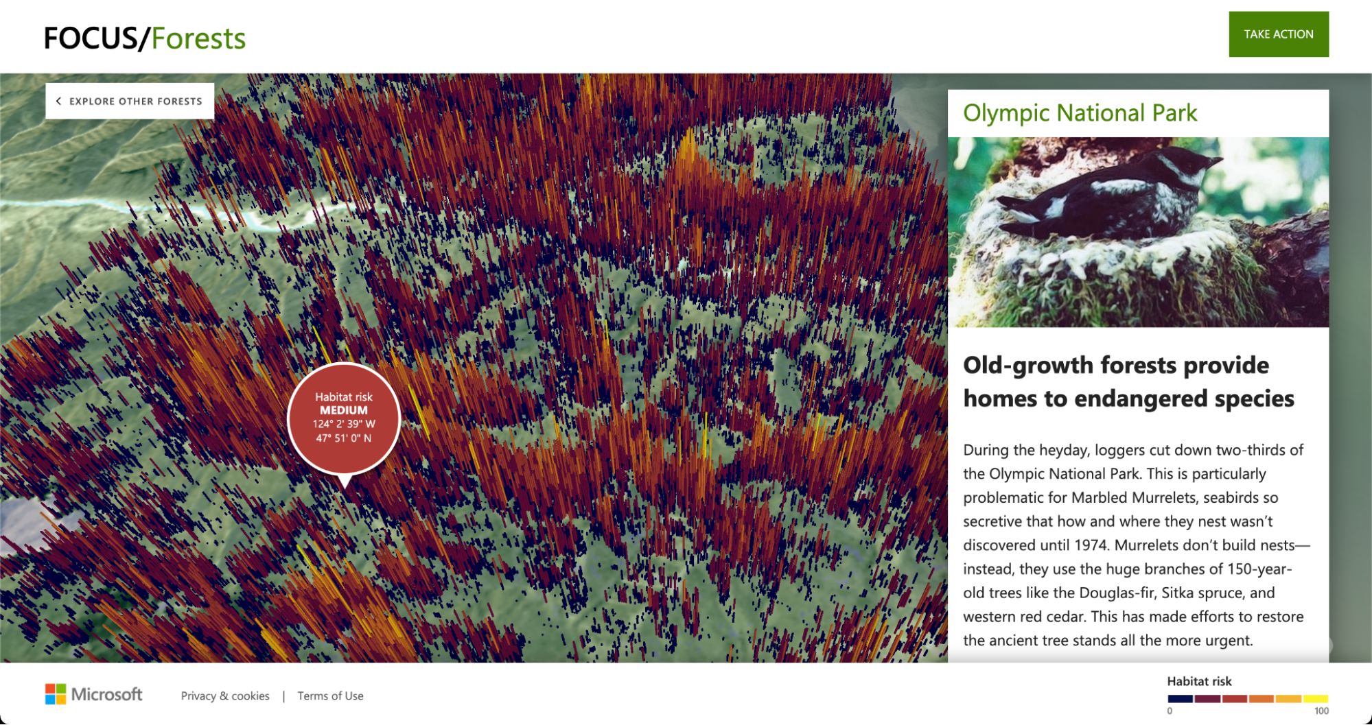 Microsoft: Focus/Forests image 5